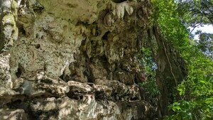 La obra de arte más antigua del mundo descubierta en una cueva de Indonesia
