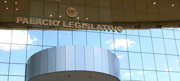 «Nepobabies» renuncian en Diputados