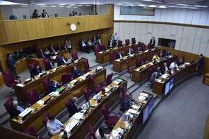 La Cámara de Senadores dilata Pensión Universal a adultos mayores postergándolo por 30 días - Política - ABC Color