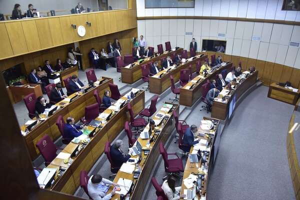 Grandes frigoríficos elevan “artificialmente” precio de la carne, denuncia senador opositor - Política - ABC Color