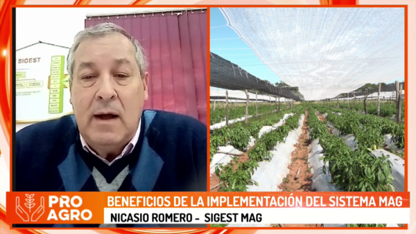 Beneficios de la implementación del sistema MAG - Megacadena - Diario Digital