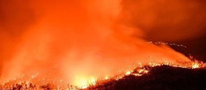 Voraz incendio avanza en California y obliga a evacuar a miles de personas