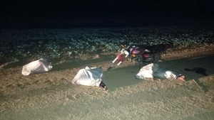ENTRE TRES IBAN SOBRE UNA MOTO Y QUEDARON DETENIDOS POR ABIGEATO