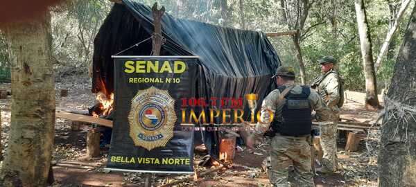 SENAD anula 12 toneladas de marihuana en establecimiento ganadero