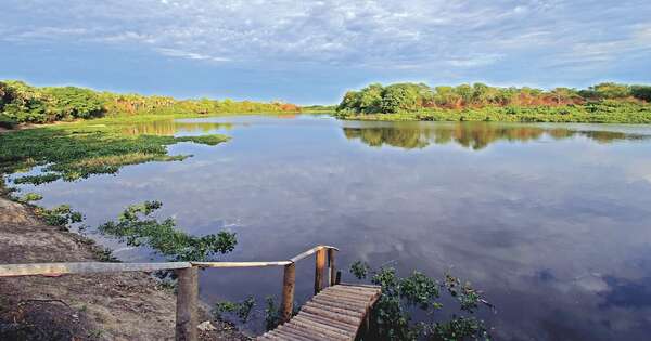 Diario HOY | Crisis del agua: sequía en el Pantanal, impacto profundo en río Paraguay