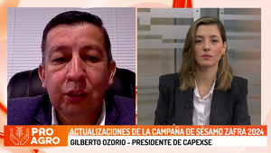 Actualizaciones de la Campaña de Sésamo Zafra 2024 - Megacadena - Diario Digital