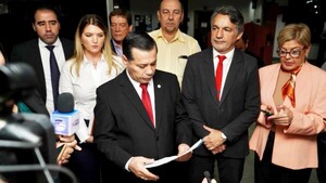 Hay más de 40 interesados en la venta libre de energía al Brasil
