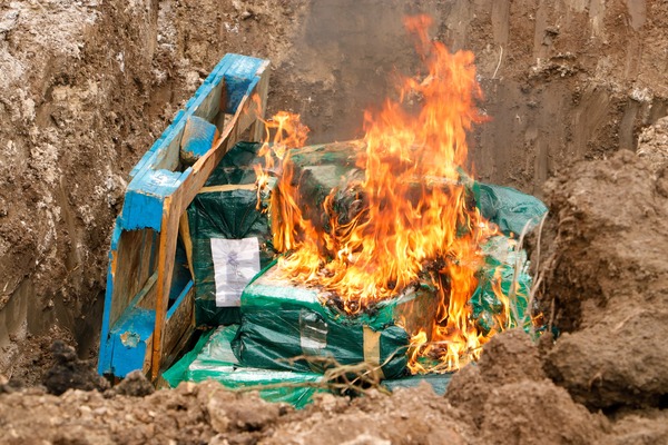 Senad incineró 876 kilos de cocaína incautados en Paso Bravo - Oasis FM 94.3