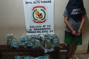 Atrapan a un adolescente que transportaba 21 kilos de marihuana a la orilla del Paraná – Diario TNPRESS