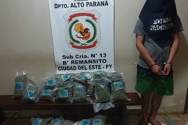 Atrapan a un adolescente que transportaba 21 kilos de marihuana a la orilla del Paraná – Diario TNPRESS