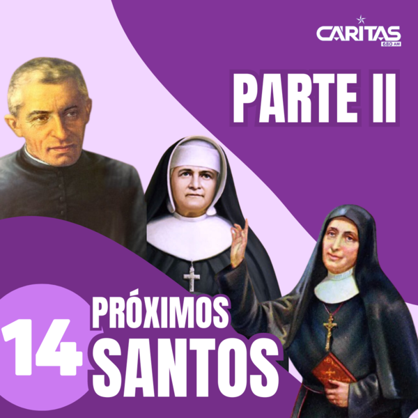 Te presentamos a los próximos 14 santos de la Iglesia (Parte II) - Portal Digital Cáritas Universidad Católica