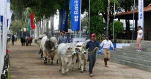 La Nación / Para cabañeros, la Expo ya está en marcha con el ingreso de animales