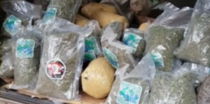 Imputan a adolescente que fue detenido con más de 21 kilos de marihuana en CDE - Megacadena - Diario Digital