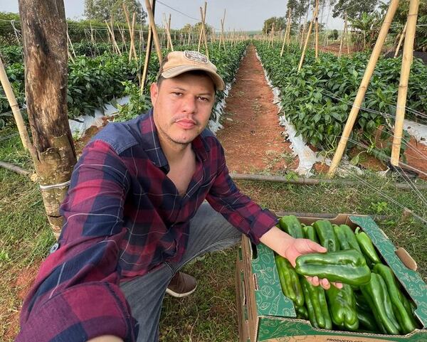 Locote tipo exportación cosechan en Vaquería - Nacionales - ABC Color