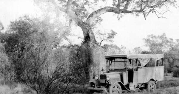 La Nación / Archivo Nacional expondrá fotos de la Guerra del Chaco
