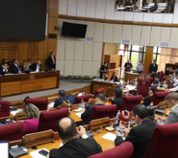 Rechazan proyecto de Ley de Control y Rendición de Cuentas - Paraguay.com