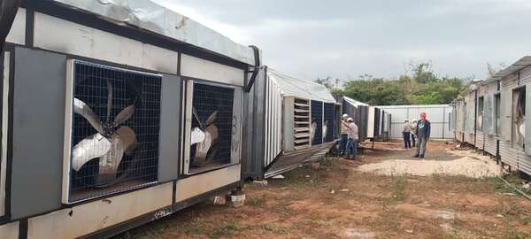 ¿Quiénes están detrás de la criptominería ilegal en Paraguay? Esto reveló un experto - Nacionales - ABC Color