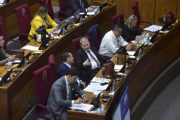 Cartismo convoca a sesión para tratar control a las ONG - Política - ABC Color