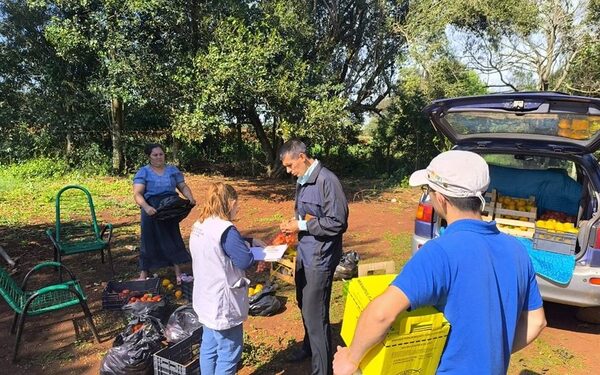 Control de vacunas y monitoreo de enfermedades en Hernandarias – Diario TNPRESS