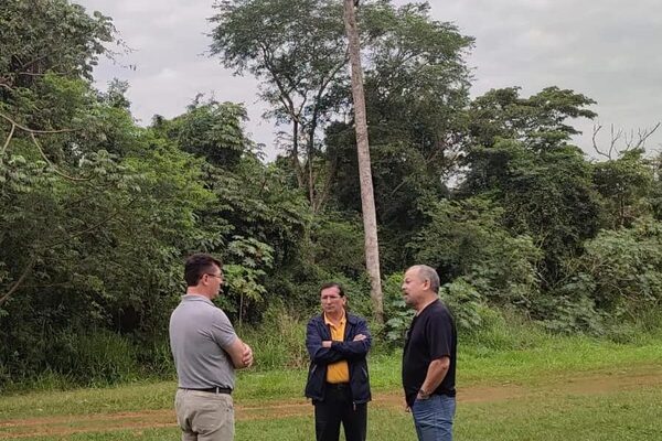 Realizarán identificación de especies de árboles en el campus de la UNE