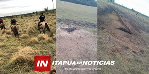 MISTERIOSA MUERTE DE GANADO EN EL DISTRITO DE GRAL. ARTIGAS  - Itapúa Noticias