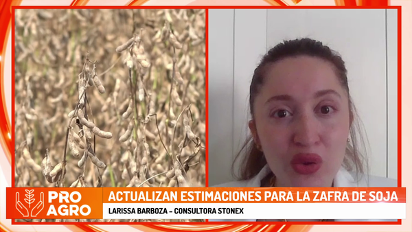 Actualizan estimaciones para la zafra de la soja - Megacadena - Diario Digital