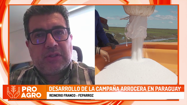 Desarrollo de la Campaña Arrocera en Paraguay - Megacadena - Diario Digital