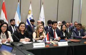 Mercosur y Emiratos Árabes Unidos: panorama favorable para potencial expansión del comercio - Nacionales - ABC Color