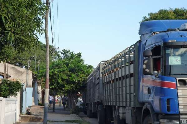 Transportistas, preocupados por situación de la carne - Nacionales - ABC Color