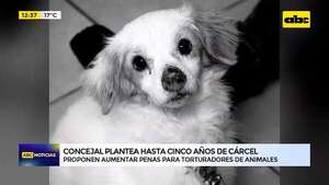 Video: Concejal plantea proponer aumentar penas para torturadores de animales - ABC Noticias - ABC Color