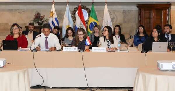 La Nación / Mercosur: reactivan grupo de mipymes para incentivar el comercio fronterizo
