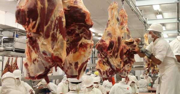 La Nación / Primer semestre del año cerró con aumento en la faena de bovinos
