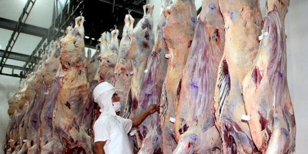 Carne paraguaya más barata en el exterior que acá, en Congreso acusan a una claque