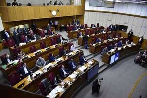 Control a ONG: piden postergar tratamiento del proyecto de ley para mayor debate - Política - ABC Color