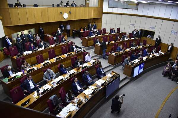 Control a ONG: piden postergar tratamiento del proyecto de ley para mayor debate - Política - ABC Color