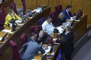 Aplanadora cartista aprobará hoy   proyecto de control a las oenegés - Política - ABC Color