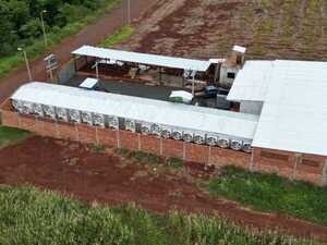 Feroz granja minera de criptomonedas deja sin energía estable a Santa Rita - La Clave