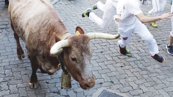 Toros dejan chalái a 6 en fiesta de San Fermín
