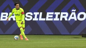 Palmeiras y Botafogo acortan distancias con Flamengo