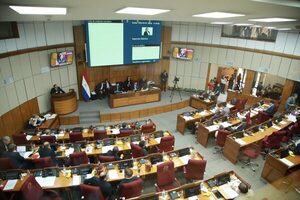El Senado estudia hoy la ley sobre el control a las oenegés - ADN Digital