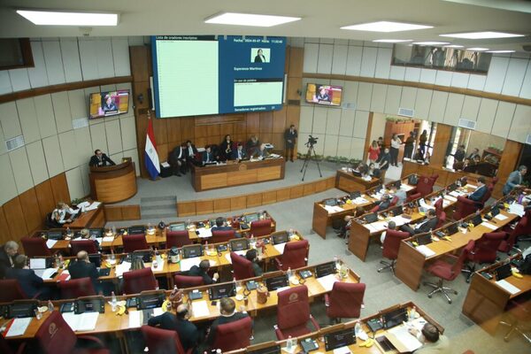 El Senado estudia hoy la ley sobre el control a las oenegés - ADN Digital