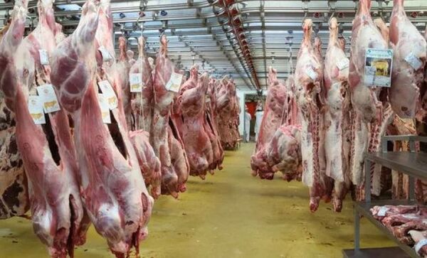 Carne paraguaya más barata en el exterior que acá, en Congreso acusan a una claque