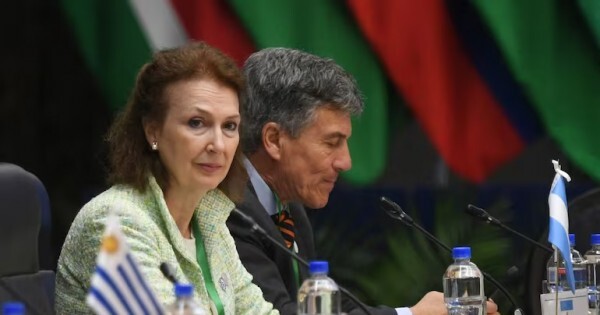 Por la ausencia de Milei, Mondino tiene la mitad de tiempo para hablar en el Mercosur