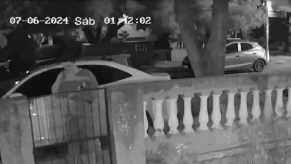 Un ladrón devoto: Hizo la señal de la cruz antes de entrar a robar