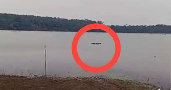 Diario HOY | Sumergió el auto de su amigo en el Lago Itaipu: ¿estaba drogado?