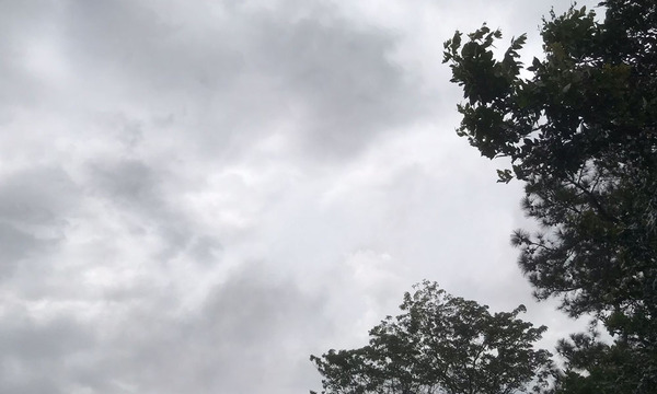 Con heladas y mínimas de hasta 3 °C , meteorología anuncia la semana más fría del año para Coronel Oviedo - OviedoPress