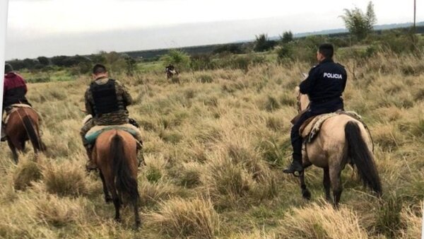 Casi una veintena de animales vacunos mueren en General Artigas
