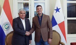 Santiago Pe帽a se re煤ne en Asunci贸n con el presidente paname帽o, su invitado a la cumbre del Mercosur - Revista PLUS