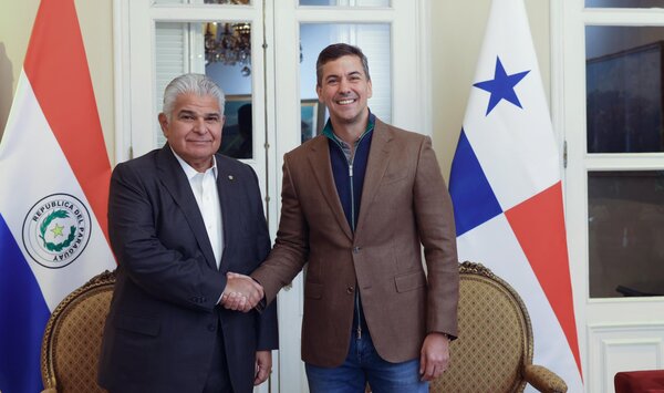 Santiago Pe帽a se re煤ne en Asunci贸n con el presidente paname帽o, su invitado a la cumbre del Mercosur - Revista PLUS