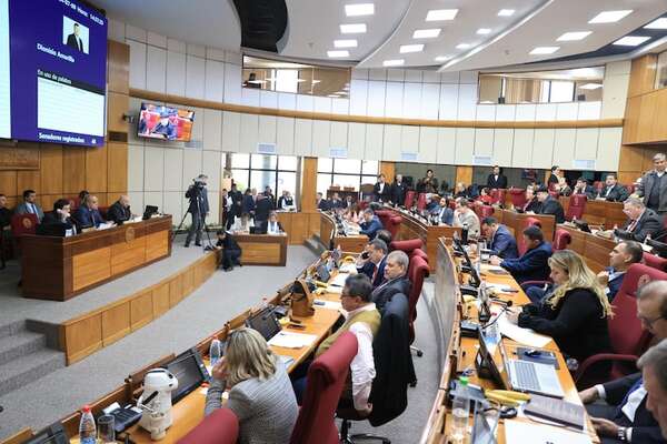 Senado aprueba en general proyecto cartista para controlar las ONG - Política - ABC Color